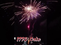 Fuochi d'artificio pirotecnici all'ingrosso Mandarin 177 colpi Fuochi d'artificio grandi per consumatori Fuochi d'artificio nuovi