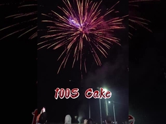 2025 Fabbrica cinese 100 colpi Fuochi d'artificio di torta di carta FAFBWL Al dettaglio pirotecnica nuovi fuochi d'artificio