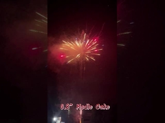 Fuochi d'artificio cinesi a basso prezzo Liuyang 0.8'' pollice 100 colpi 1.4G per feste di matrimonio
