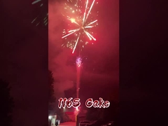 Fuochi d'artificio all'ingrosso di fabbrica Liuyang 116 colpi Pirotecnica Cinese Fuochi d'artificio a torta per esterni