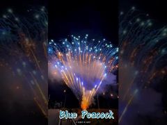 Fabbrica 0,8 pollici 300 colpi 1.3g professionisti torta fuochi d'artificio Display fuochi d'artificio pirotecnica Salute