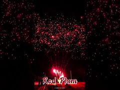 Fuochi d'artificio Liuyang 56 colpi Saluto Batterie per torte all'aperto Fuochi d'artificio Prugna Rossa Pirotecnica