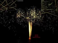 Eventi Pirotecnici per Spettacoli Pirotecnici con Torta di Fuochi d'Artificio 100 Colpi, Eventi all'aperto, Pirotecnica Professionale, Fuochi d'artificio 1.3G