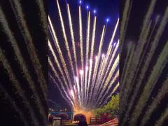 Fuochi d'artificio personalizzabili per fabbrica cinese 1.3G Fuochi d'artificio professionali a torta Festival di Natale Matrimonio