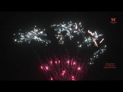 US CE 1.3G Un0335 Customized Fireworks  1.2 Inch 100s Cake Firework Wholesale Pyrotechnics