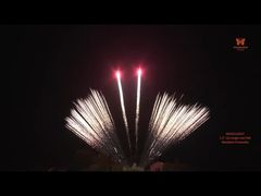 Professionale 1.3G 1.2' 12 pollici Colpi Single Row Fan Cake Fuochi d'artificio al dettaglio Fuochi d'artificio pirotecnica