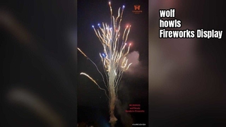 Fuochi d'artificio cinesi di fabbrica personalizzati 100 colpi di lupo ululato torta pirotecnica all'ingrosso