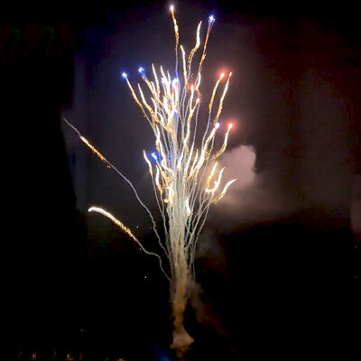 Chinese Factory Custom 100 Shots Wolf Howls Cake Fireworks Wholesale Pyrotechnics New Fireworks For New Year Christmas Wedding Celebration