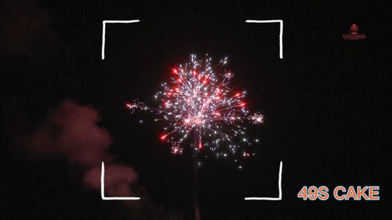 Cinese Liuyang 49 fuochi d'artificio 2022 dei dolci del consumatore dei colpi