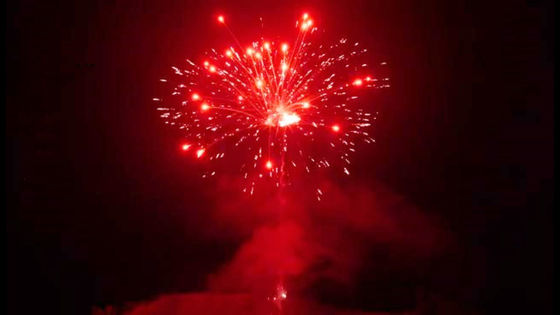 Colpi pirotecnici all'aperto cinesi 500G 24 dei fuochi d'artificio su ordinazione del dolce di Liuyang
