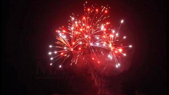 Liuyang 20 colpi 500g ha personalizzato i fuochi d'artificio del dolce per il nuovo anno