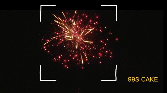 Pirotecnica del mandarino 99 fuochi d'artificio sparati del dolce del consumatore nell'effetto di stupore
