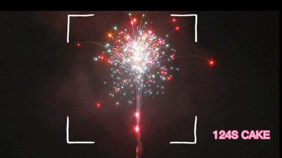 Fabbrica cinese all'ingrosso 124 colpi torta fuochi d'artificio pirotecnica con grande effetto