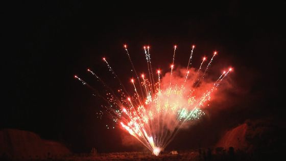 La pirotecnica cinese su misura visualizza il colpo professionale dei fuochi d'artificio 1.3g 100 del dolce
