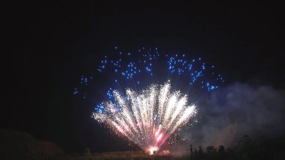Fuochi d'artificio professionali del dolce di Liuyang di pirotecnica del mandarino 100 colpi