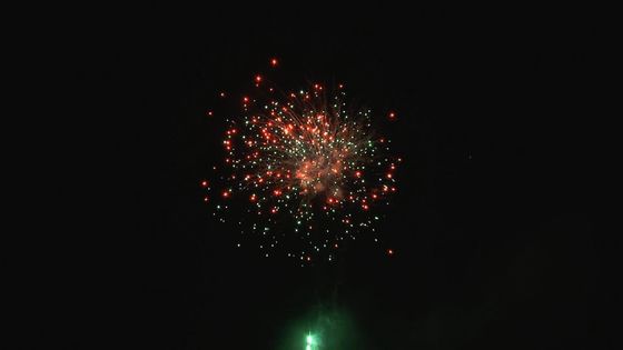 Colpi personalizzabili dei fuochi d'artificio professionali all'aperto del dolce di festival di Natale 49