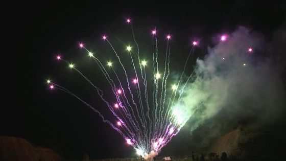 Professionista all'aperto dei fuochi d'artificio del dolce di festival di Natale dei colpi del mandarino 100
