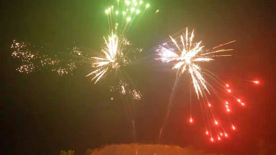 2023 fuochi d'artificio cinesi dell'affare di pirotecnica del mercato dei fuochi d'artificio AFSL del dolce dalla Cina