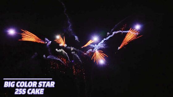 25 colpi i fuochi d'artificio del dolce che del consumatore smazzano modellano la pirotecnica 1.4g Un0336
