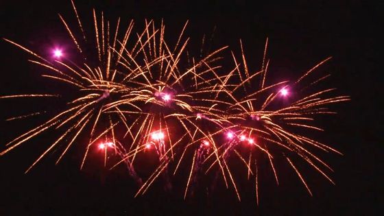 Pirotecnica all'aperto 1.4g su misura a forma di ventaglio del dolce di celebrazione di 20 colpi