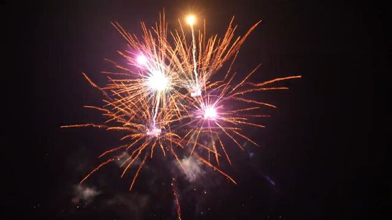 21 fuoco d'artificio all'aperto pirotecnici del dolce di buoni effetti dei colpi per la celebrazione