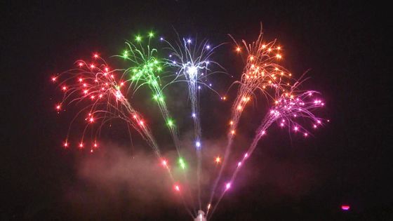 La pirotecnica di saluto ha personalizzato i fuochi d'artificio cinesi del dolce dell'esposizione 200 colpi