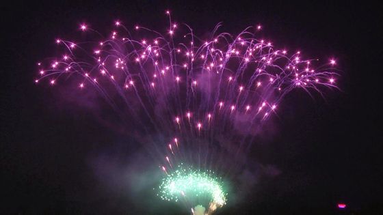 Pirotecnica del dolce del mandarino di Liuyang 208 fuochi d'artificio professionali 1.3g dell'esposizione dei colpi