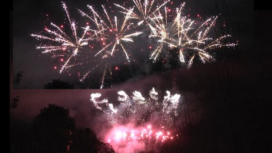 Liuyang 56 fuochi d'artificio professionali dei colpi visualizza 1.3g Un0335 per la celebrazione di festival