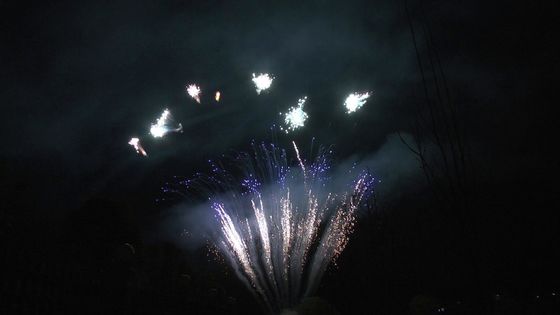 Il mandarino visualizza 90 colpi saluta i fuochi d'artificio professionali del dolce della pirotecnica per il partito