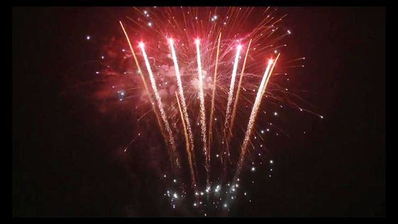 98 fuochi d'artificio pirotecnici del dolce del consumatore del petardo del nuovo anno dei colpi hanno personalizzato