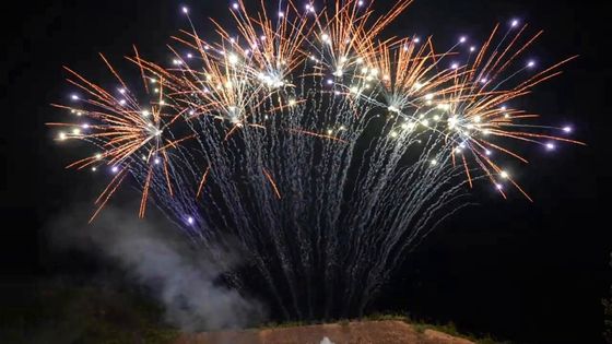 Pirotecnica del mandarino 1.3g 13 fuochi d'artificio professionali di fila dei colpi singoli