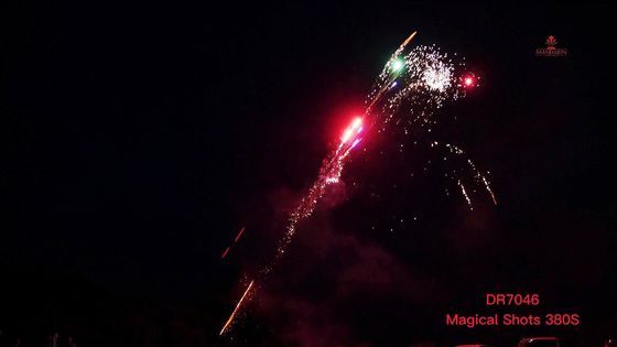 Uno sputo di 380 colpi borda la famiglia gli assortimenti della pirotecnica che imballa il fuoco d'artificio