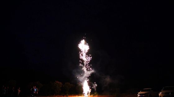 Lo sputo della pirotecnica 49s della scatola dei pacchetti della famiglia degli assortimenti dei fuochi d'artificio borda i fuochi d'artificio