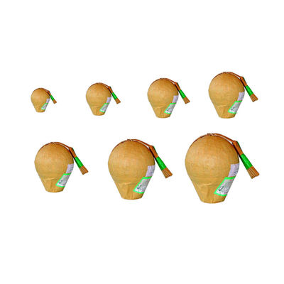 Fuochi d'artificio professionali di Liuyang Mandarin con proiettili a sfera da 6 pollici Fuochi d'artificio per la celebrazione del Capodanno