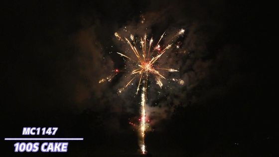 Pirotecnica professionale dei fuochi d'artificio del dolce di effetti speciali di Liuyang 100 colpi
