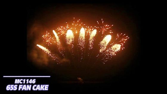 Pirotecnica dei fuochi d'artificio del mandarino 65 fuochi d'artificio a forma di ventaglio dei colpi