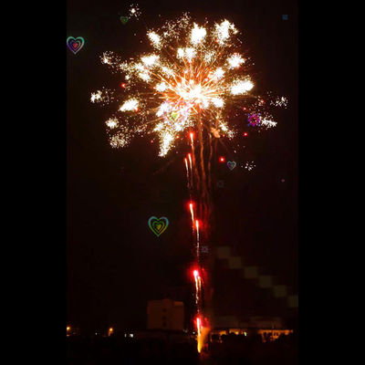 I fuochi d'artificio delle fabbriche della pirotecnica di Liuyang 196 fuochi d'artificio professionali di effetti speciali dei fuochi d'artificio del dolce dei colpi mostrano