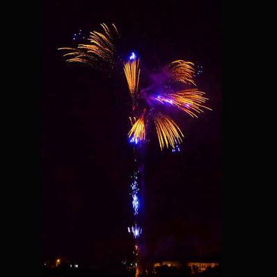 352 colpi hanno personalizzato i fuochi d'artificio che del nuovo anno i grandi petardi pirotecnici agglutinano i petardi per la celebrazione