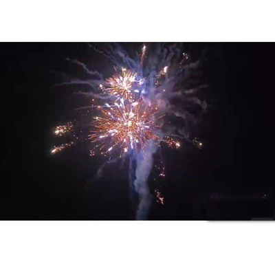 Cane cinesi all'aperto fuochi d'artificio pirotecnica Salute per la celebrazione del festival