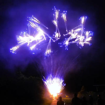 Fuochi d'artificio all'aperto Torta di consumo Fuochi d'artificio per il festival