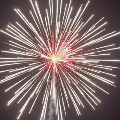 Fuochi d'artificio cinesi per festeggiare il nuovo anno