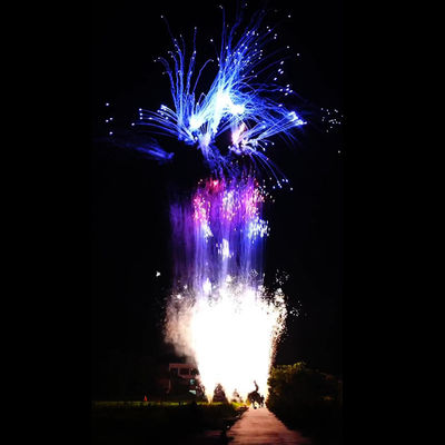 100 colpi cinesi personalizzati torta pirotecnica per il consumo fuochi d'artificio per il Capodanno