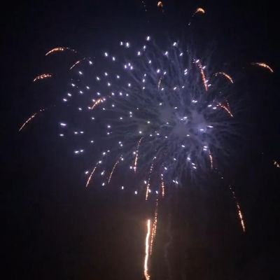 Cinese 25 colpi torta fuochi d'artificio pirotecnico per le riunioni di celebrazione