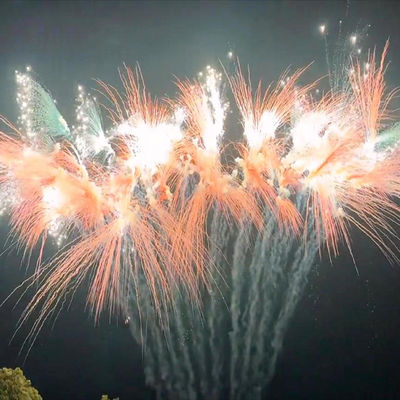 Fuochi d'artificio tipici di torte cinesi Feste celebrazioni pirotecnica fuochi d'artificio all'aperto 2024