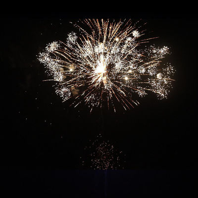 Liuyang 104 Colpi Consumatori Outdoor Ululare lupo fuochi d'artificio Torta