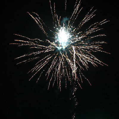 Cinese 60 colpi torta fuochi d'artificio tipo Festival Celebrazione pirotecnica all'aperto 2024
