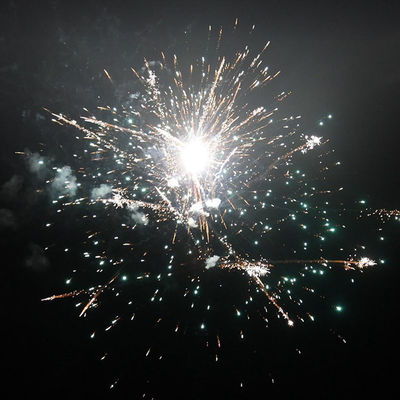 56 colpi Torte di consumo fuochi d'artificio 2024 1,4 g UN0336 Per festa