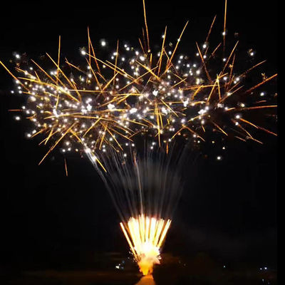 Fuochi d'artificio per il Capodanno cinese personalizzati Torta 100 colpi Fuochi d'artificio per il consumo