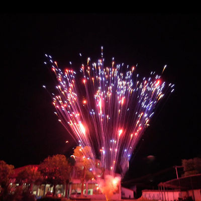 Fabbrica cinese fuochi d'artificio pirotecnica 1,2 pollici 24 colpi torta fuochi d'artificio per la celebrazione 1,4 g Un0336 pirotecnica