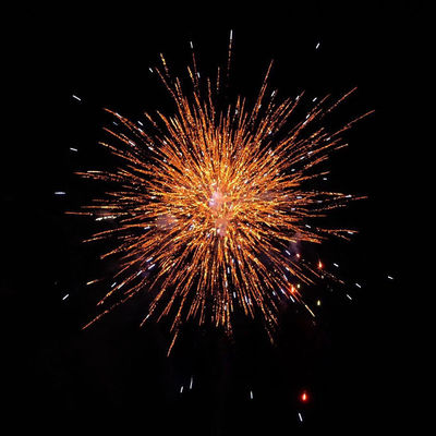 Fuochi d'artificio 500G 23 colpi 0,8 pollici 1,2 pollici Fuochi d'artificio da Liuyang